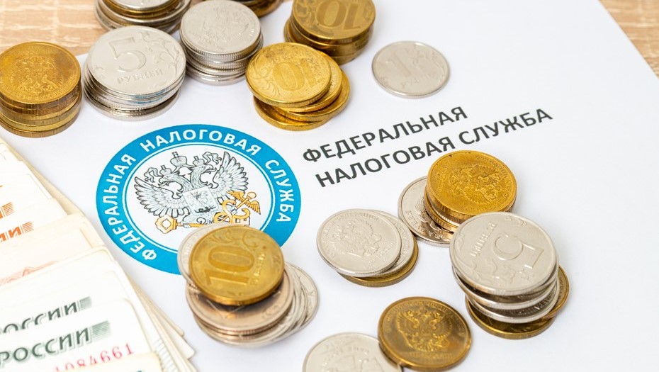 Резиденты IT-парка: путь от стартапа до лидера технологического рынка - 3